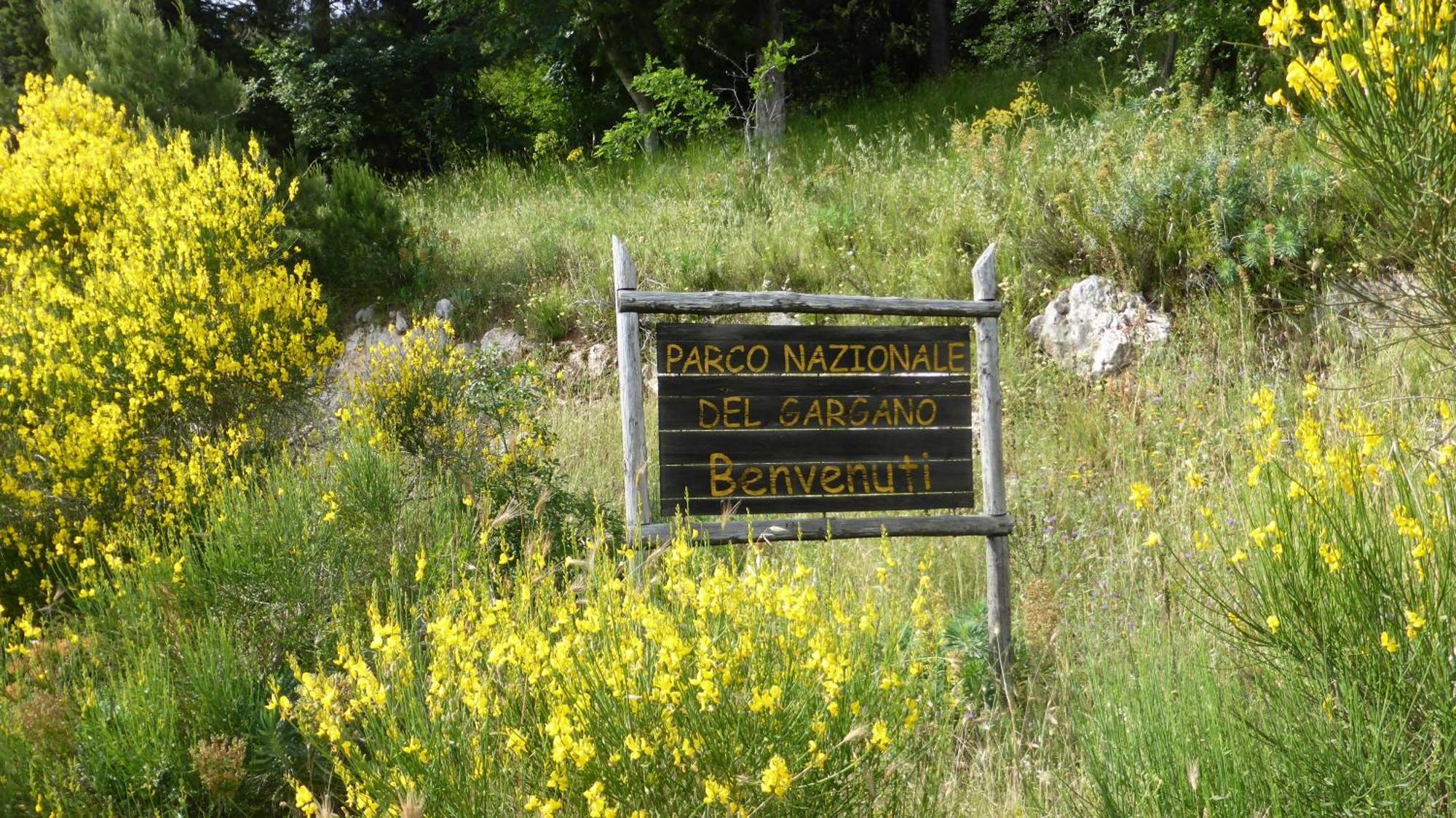 Hotel Vittoria San Giovanni Rotondo Kültér fotó